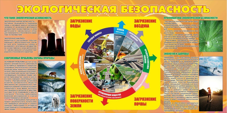 Экологическая безопасность. Экологическая безопасность.